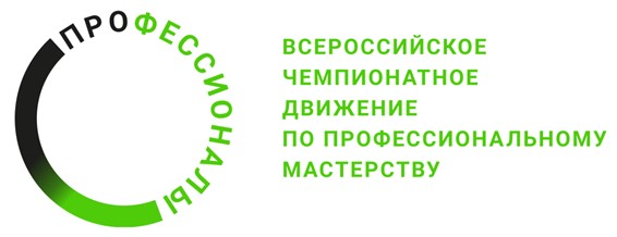 Отборочный этап Чемпионата по профессиональному мастерству «Профессионалы»