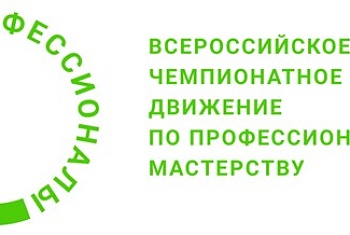 Отборочный этап Чемпионата по профессиональному мастерству «Профессионалы»